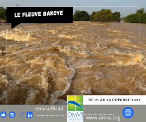 Mission dactualisation des termes de references de letude APS de lamenagement hydroelectrique de Badoumbe 11