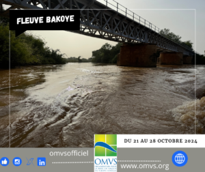 Mission dactualisation des termes de references de letude APS de lamenagement hydroelectrique de Badoumbe 7